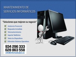 Tecnicos Informaticos Online y Domicilio
